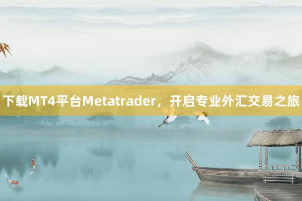 下载MT4平台Metatrader，开启专业外汇交易之旅