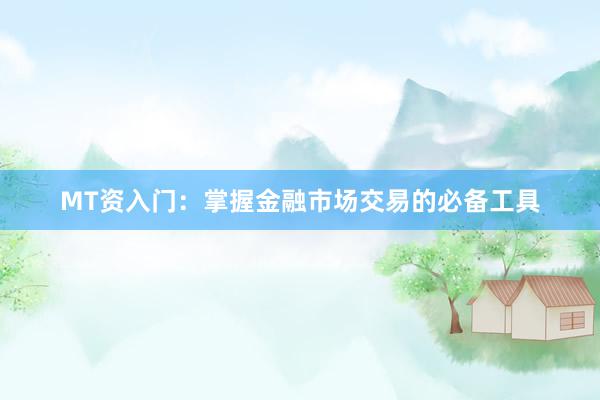 MT资入门：掌握金融市场交易的必备工具