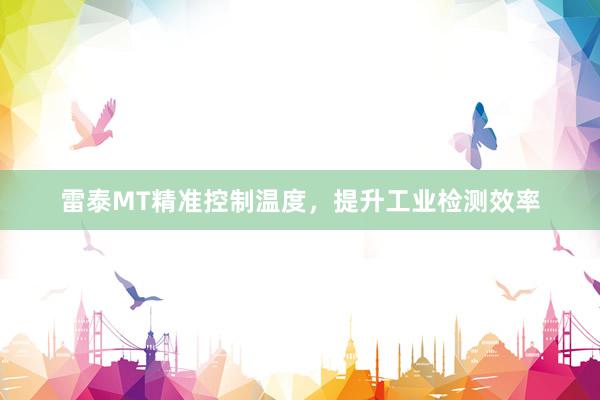 雷泰MT精准控制温度，提升工业检测效率