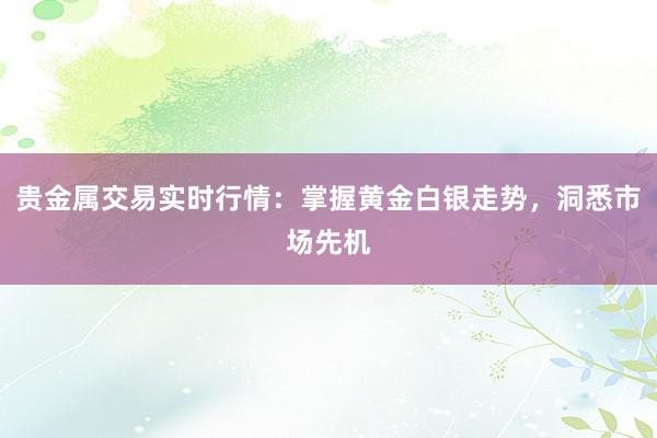 贵金属交易实时行情：掌握黄金白银走势，洞悉市场先机